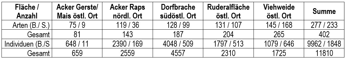 Abb_33_05_Tabelle_Arten_und_Individuenzahlen